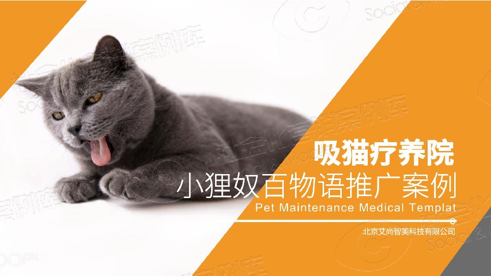 社会化营销案例库,小狸奴百物语--网红喵的成名