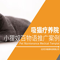 社会化营销案例库,小狸奴百物语--网红喵的成名